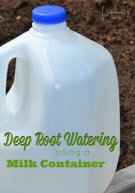 Slow Release Watering Diy, Deep Root Watering Diy, 5 Gallon Bucket Drip Irrigation, Watering Hacks For Garden, Milk Jug Watering System, Garden Watering Hacks, Garden Watering Ideas, Watering Garden Ideas, Watering Vegetable Garden