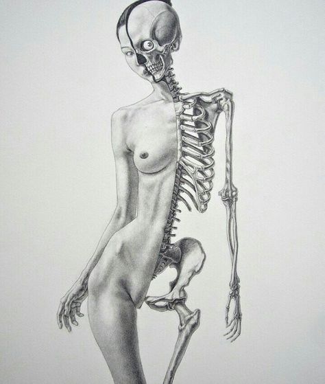 Skeleton Art Drawing, Female Skeleton, Zombie Drawings, Skeleton Girl, Women Skeleton, Skeleton Drawings, Pop Art Images, Female Drawing, Beauty In Art