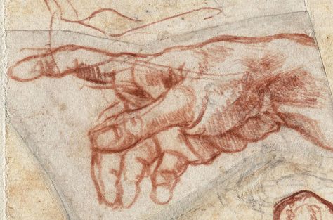 Michelangelo Anatomy, Hands Michelangelo, Sistine Chapel Ceiling, Museum Plan, Hand Drawings, Drawing Hands, Hand Of God, Master Drawing, Photo Mural