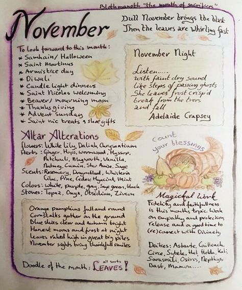 November Magical Correspondences, November Correspondences, Witchy November, September Witchcraft, November Witchcraft, November Witch, Spiritual Essentials, Witch Drawings, November Magick