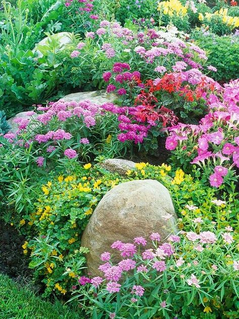 a mixture of plants -- including purple coneflower, geranium, daylily, and Cottage Garden Plan, English Garden Design, Rock Garden Design, Garden Ideas Cheap, Video Garden, Cottage Garden Design, Cottage Garden Plants, Garden Shrubs, English Cottage Garden