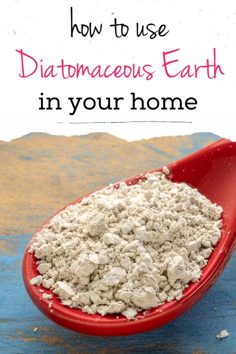 Diatomaceous Earth Uses: 13 Smart Ways to Use Diatomaceous Earth In Your Home - it's a love/love thing Diatomaceous Earth Uses, Pantry Bugs, Herbal Potions, Ants In Garden, Homesteading Life, Diatomaceous Earth Food Grade, Ants In House, Kill Ants, Get Rid Of Ants