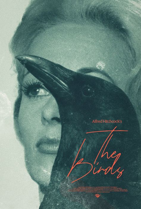 Birds Hitchcock, The Birds Hitchcock, Animal Horror, The Birds Movie, Camera Poster, Alfred Hitchcock The Birds, Movie Behind The Scenes, Horror Book Covers, Alt Indie