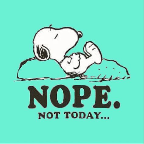 Nope. Not today... 🛋 19 Birthday Quotes, Funny Snoopy, Charlie Brown Quotes, Snoopy Comics, Happy Wednesday Quotes, Nope Not Today, Snoopy Funny, Snoopy Images, Snoopy Wallpaper