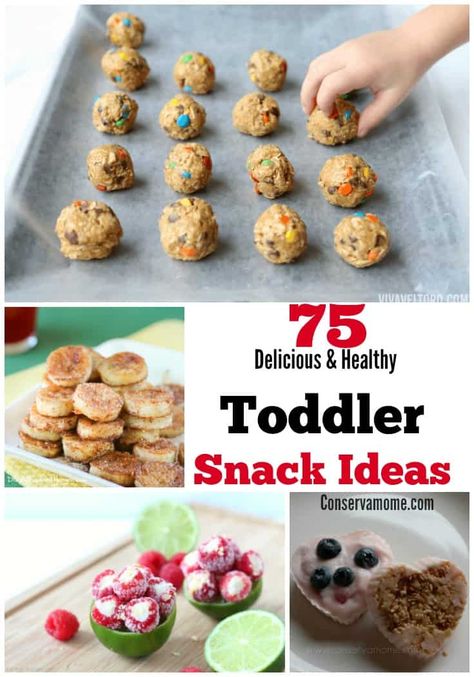 If you live with, know or ever met a toddler you know how hard it can be to get them to eat healthy foods. That's why I've put together a list of 75 Delicious & Healthy Toddler Snack Ideas to help make creative and delicious meals for your little one.  #toddlersnackideas #snacksfortoddlers Toddler Snack Ideas, Toddler Snack, Healthy Toddler Snacks, Toddler Lunches, Healthy Toddler Meals, Toddler Snacks, Healthy Snacks For Kids, Delicious Meals, Toddler Meals