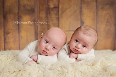 3 Month Old Twins Photography, Twin Babies Pictures, 3 Month Old Baby Pictures, Twin Baby Photography, Twin Baby Photos, Twins Posing, Twin Pictures, Twin Photography, Twin Baby Boys