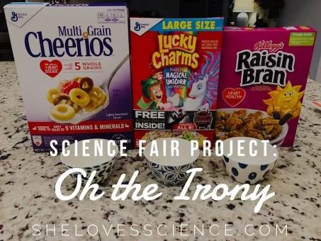 Science Fair Project: Oh the Irony! Fun Science Fair Projects, Elementary Science Fair Projects, Science Fair Experiments, Cool Science Fair Projects, Elementary School Science, Oh The Irony, Science Fair Project, Child Rearing, Fair Projects