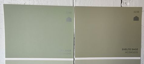 Svelte Sage Sherwin Williams, Svelte Sage, Moss Paint, 1920s Bungalow, Balanced Beige, Sage Plant, Dover White, Room Refresh, Popular Decor