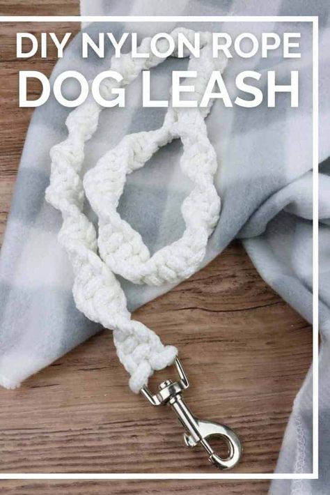 Diy Leash, Dog Leash Diy, Dog On A Leash, Braided Dog Leash, Doggy Birthday, Cat Simple, Biker Gnomes, Walking A Dog, Handmade Dog Leash