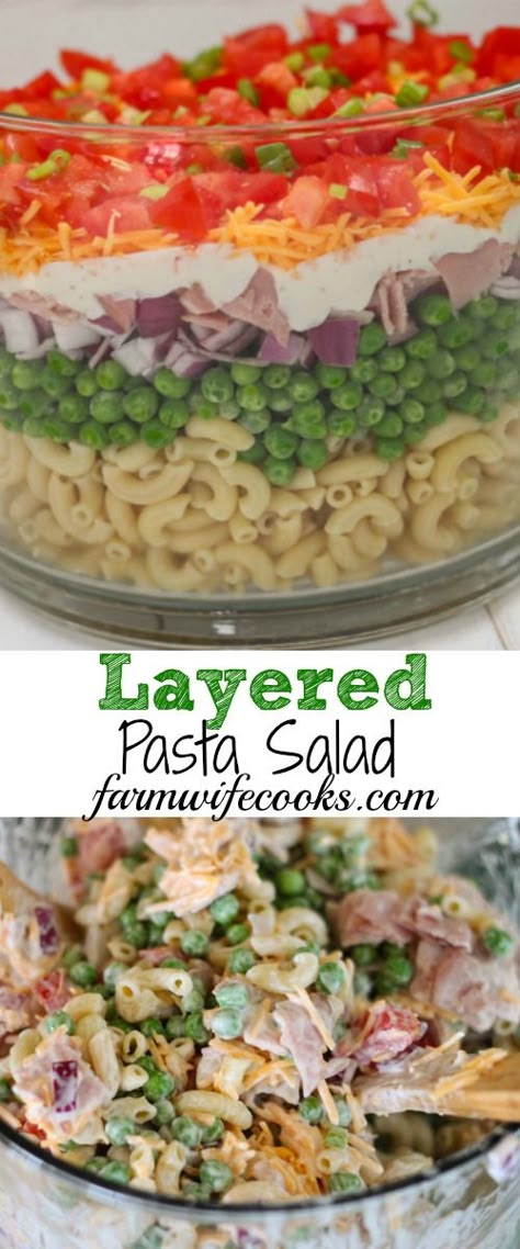 You can change up the ingredient based on what you have in your fridge and your taste. #PastaSalad #Salad Layer Pasta Salad, Layered Pasta Salad Recipes, Layered Pasta Salad 12 Tomatoes, Layered Pasta Salad, Pasta Salad Recipes Cold, Salad Pasta Recipes, Layered Salads, Picnic Salads, Layered Pasta