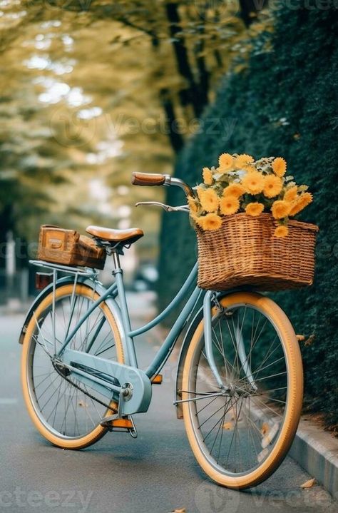 Waiting for owner Closeup of bicycle with flowers in the basket standing on the road outdoors, Generative AI Bicycle With Flowers, Bicycle Stand, Bicycle Ride, Santa List, Old Bicycle, Flat Design, On The Road, Flower Decorations, The Road