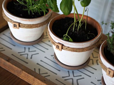 Terra Cotta Plant, Outside Steps, Easy Diy Home Improvement, Terra Cotta Clay Pots, Indoor Herb, Terracotta Plant Pots, Beautiful Farmhouse, Indoor Herb Garden, Chippy Paint