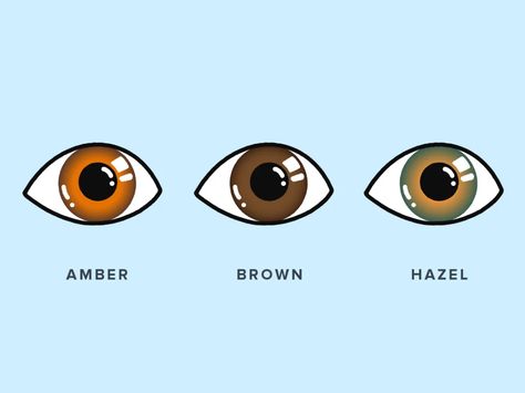 Amber Eyes: How Rare Are They? | Warby Parker Golden Amber Eyes Aesthetic, Hazel Eyes Drawing, Light Amber Eyes, Amber Eyes Aesthetic, Amber Eyes Color, Makup Looks, Amber Eyes, Body Sketches, Amber Lights