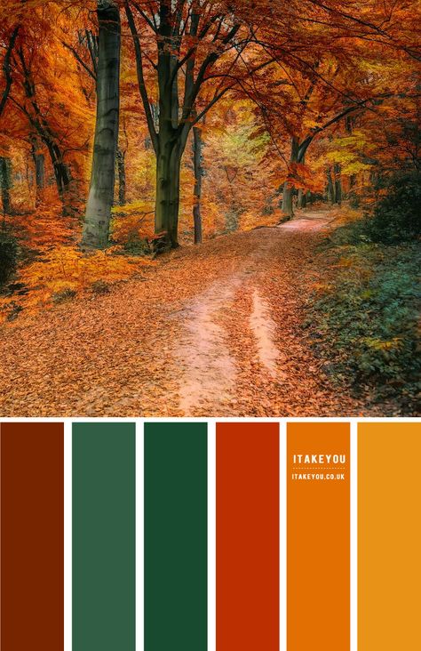 Green and Terracotta Colour Combination | Color Scheme | itakeyou.co.uk Gold Combination Colour Palettes, Leaf Color Palette, Moodboard Website, Copper Colour Scheme, Autumn Colour Palette, Palette Autumn, Colours Palette, Terracotta Colour, Teal Color Schemes