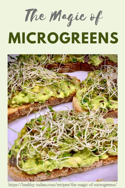 Micro Greens Recipe Meals, Micro Greens Recipe, Indoor Microgreens, Grain Free Diet Recipes, Microgreens Recipe, Red Kale, Gluten Free Diet Recipes, Micro Greens, Growing Microgreens