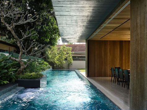 BT House by ONG&ONG | HomeAdore Moderne Pools, Indoor Swimming Pool, Modern Pools, Casa Exterior, Dream Pools, Indoor Swimming, Small Pool, Swimming Pool Designs, Outdoor Swimming