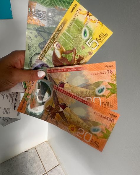 Te habias preguntado como son los billetes de costa rica? pues son hermosos, tienen imagenes de los animales mas representarivos del pais, changuitos, colibris,hasta un perezoso, son los billetes mas bonitos que he visto. Vision Board Manifestation, Costa Rica, Vision Board, Collage, Pins