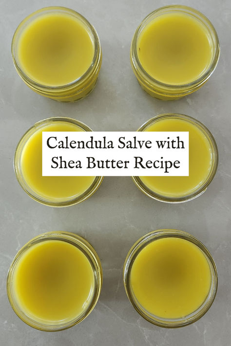 Calendula Salve with Shea Butter: Easy Homemade Recipe - The Homesteading Way Calendula Healing Salve, Calendula Salve With Shea Butter, Calendula Cream Recipe, Calendula Salve Recipe, Calendula Recipes, Tallow Recipes, Tallow Recipe, Herbal Salve Recipes, Healing Salve Recipe