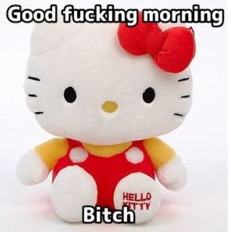 🎀 Free HELLO KITTY handbag 💕 (pink/blue) for your Order on US$55 ! 🙌 Hurry, first come first serve! 🏃‍♀️ Free worldwide shipping on orders over US$50 📦 Use code “kitty” for an extra 15% off sitewide 💖 Don’t miss out! 😍 Hello Kitty Reaction Pic Love, Hello Kitty Funny Pics, I Heart My Bf Pfps, Hello Kitty Reaction Pic, Hello Kitty Supremacy, Sanrio Reaction Pics, Sanrio Funny, Sanrio Reaction, Hello Kitty Meme