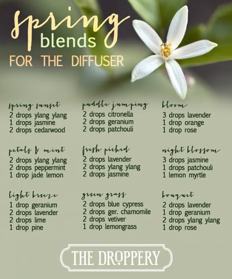 Spring Diffuser Blends » the droppery Spring Diffuser Blends, Essential Oils Diffuser Blends, Essential Oil Remedy, Essential Oils Diffuser, Essential Oil Diffuser Recipes, Essential Oils Health, Oil Diffuser Recipes, Essential Oil Mixes, Essential Oil Blends Recipes