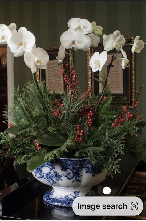 Simon Pearce Christmas Trees Display, Orchid Christmas Centerpiece, Christmas Orchid Arrangements, Poinsettia Arrangement, Round Coffee Table Decor, Amaryllis Christmas, Poinsettia Centerpiece, House Of York, Blue And White Decor