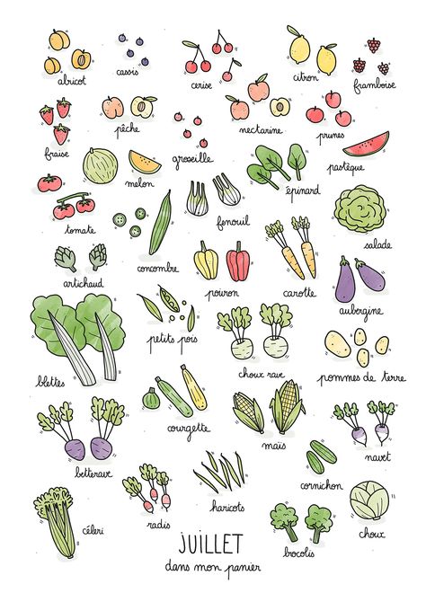 Fruits & Vegetables calendar on Behance Ayurveda Lifestyle, 귀여운 음식 그림, Garden Journal, Sketch Notes, Bujo Inspiration, Idee Pasto Sano, Food Drawing, Journal Doodles, Bullet Journal Inspiration