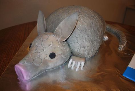 Armadillo Cake - CakeCentral.com Steel Magnolias Armadillo Cake, Armadillo Cookies Decorated, Armadillo Cake Tutorial, Armadillo Coloring Page, Clay Armadillo, Armadillo Cake, Magnolia Wedding, Cream Cheese Buttercream, Cake Shapes