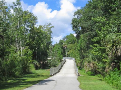 Oviedo Florida, Florida Trail, Green Corridor, Greenwood Lake, Urban Bike, Bike Rental, Bike Path, Lake Park, Lady Liberty