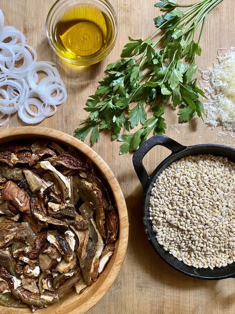 We can’t get enough of the powerful umami flavor of orzo with porcini mushrooms. But there’s a cooking trick to get all the depth of mushroomy aromas out of them. Porcini Mushroom Recipes, Recipes Quiche, Porcini Mushroom, Dried Porcini Mushrooms, Porcini Mushrooms, Mushroom Recipes, Orzo, Barley, Game Changer