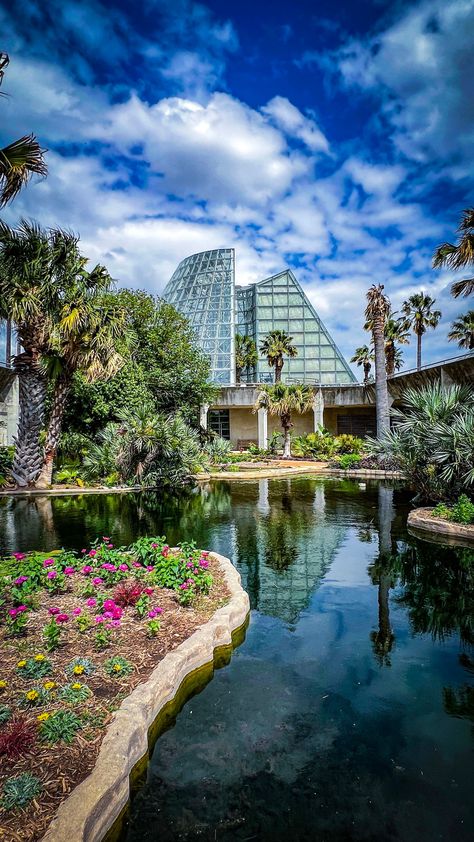 Beautiful Greenery View at San Antonio Botanical Garden Wedding in the Lucile Halsell Conservatory San Antonio Botanical Garden, Wisteria Arbor, San Antonio Wedding Venues, Botanical Garden Wedding, Downtown San Antonio, Modern Classroom, Live Oak Trees, Botanical Gardens Wedding, San Antonio Weddings