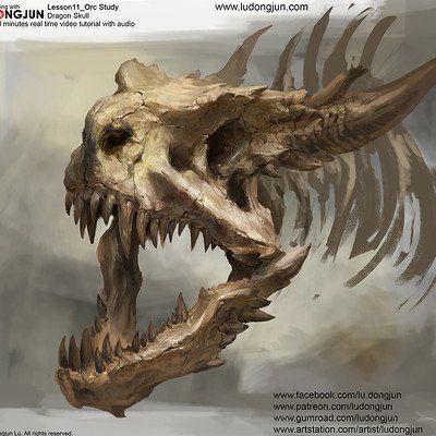 ArtStation - Real Human Skull Low-poly 3D model, Andrey Berezin How To Draw Animal Skulls Step By Step, Skull Anatomy Drawing, Scar Ideas, Animal Skull Drawing, Zodiac Dragons, Bone Dragon, Knight Statue, Dragon Skeleton, Dinosaur Skull