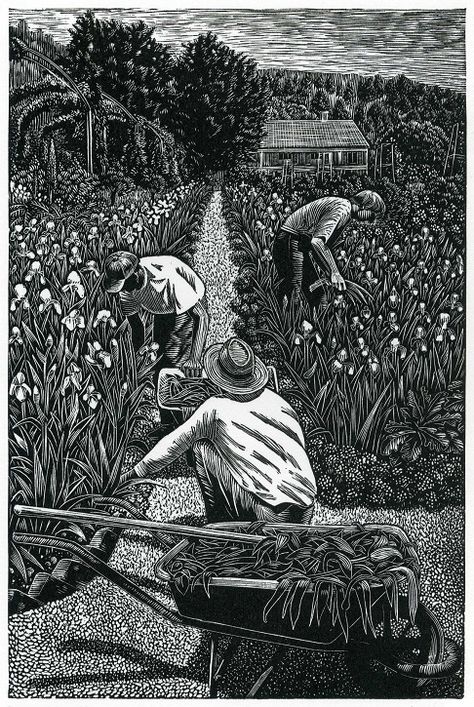 Wood engraving by Andy English. The "What Is Wood Engraving?" section on his website provides informative text and photos. Woodcut Art, Scratchboard Art, Relief Printing, Linocut Art, Woodcuts Prints, Wood Cut, Black White Art, Wood Engraving, Ex Libris