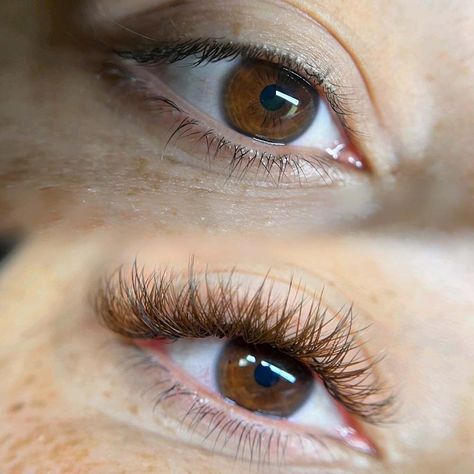 Trendy Lash Extensions, Brown Eyelash Extensions Lashes, Wispy Brown Eyelash Extensions, Brown Eye Lashes Extensions, Brown Eyelash Extensions Natural, Dark Brown Eyelash Extensions, Brown Eyelashes Extensions, Brown Lash Extensions Eyelashes, Dark Brown Lash Extensions