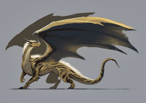 Dragon Poses, Yellow Dragon, Wings Of Fire, Dragon Art, Under The Sea, Yellow, Black, Art