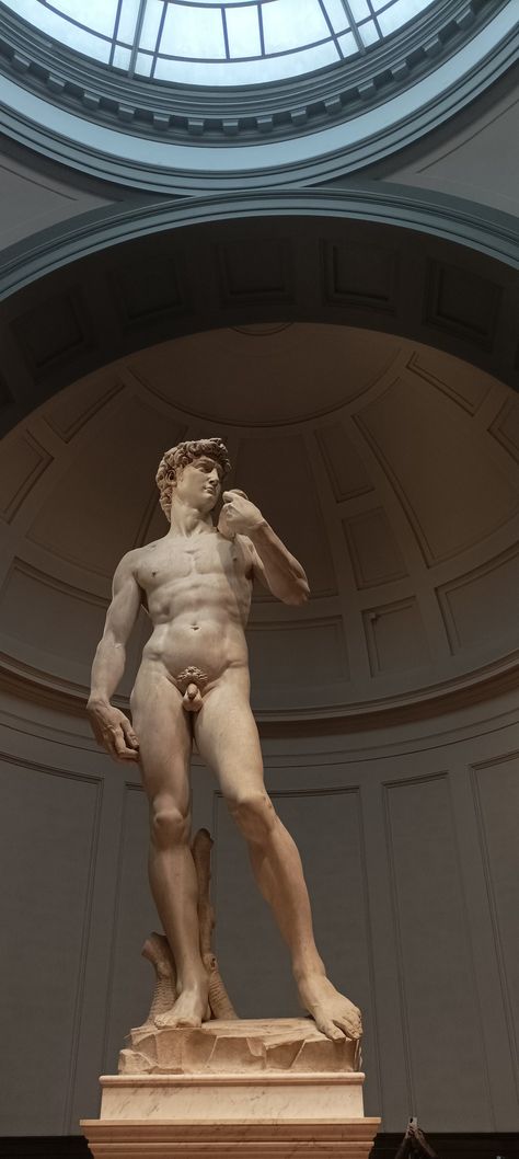 Michael Angelo Wallpapers, Micheal Angelo's David, Michaelangelo Wallpaper, Michael Angelo Paintings, Famous Paintings Michelangelo, Michelangelo Anatomy, David Michelangelo Art, Michaelangelo David, Michael Angelo Painting