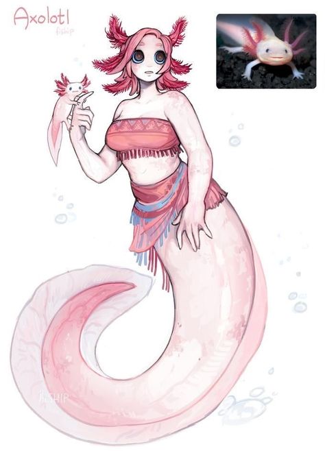 Mermaid Life Cycle, Axolotl Concept Art, Siren Body Base, Axolotl As A Human, Mermaid Design Character, Siren X Human, Merfolk Oc, Axolotl Human, Dragon Human Hybrid Character Design