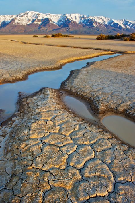 Steens Mountains . Oregon Mountain Sunrise, The Oregon Trail, Sunrise Art, Eastern Oregon, Oregon Trail, Oregon Travel, The Desert, Pacific Northwest, Bahamas