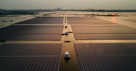 How China, home to some of the world’s worst air pollution, floated to the top in solar Solar Energy Diy, Solar Farm, Farm Business, Solar Energy Panels, Solar Roof, Best Solar Panels, Solar House, Solar Technology, Solar Installation