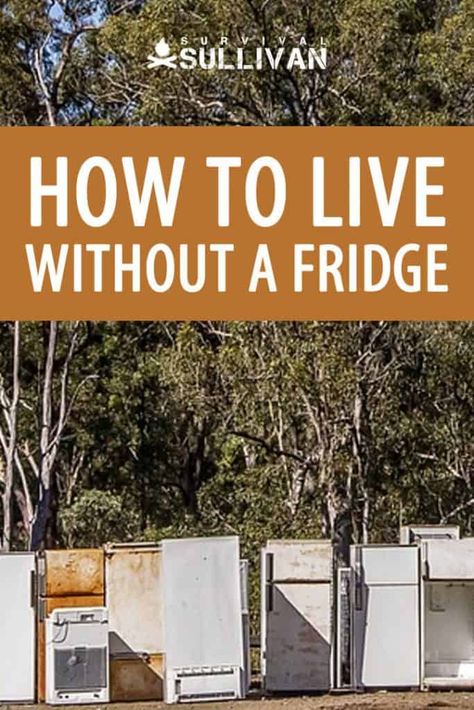 Whether you're trying to save money on electricity or just worried that you won't have a fridge post-collapse, you should know how to live without it. #survivalsullivan #shtf #preppers #prepping Living Without A Fridge, Tesol Lesson Plans, Survival Skills Emergency Preparedness, Going Off The Grid, Surviving In The Wild, Living Off The Grid, Survival Quotes, Homesteading Skills, Survival Life Hacks