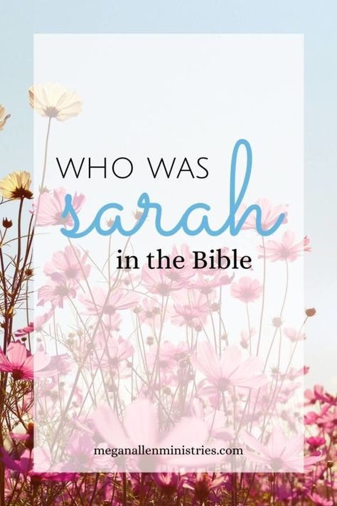 Who Was Sarah in the Bible? - Megan Allen Ministries Bible Study On Sarah, Sarah Bible Craft, Sarah In The Bible, Sarah Bible, Bible Character Study, Biblical Women, Bible Codes, Womens Bible, Woman Of Faith