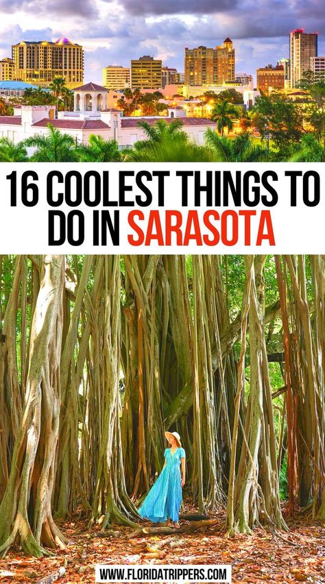 16 Coolest Things To Do In Sarasota Florida Activities, Florida Vacation Spots, Florida Travel Destinations, Siesta Key Florida, Florida Getaway, Travel Florida, Florida Travel Guide, Bradenton Beach, Bradenton Florida