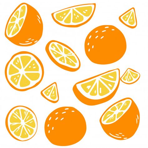 Pattern of oranges on white Premium Vector Fruits Vector Illustration, Vector Fruit Illustration, Orange Illustration Fruit, Orange Illustration Graphics, Oranges Drawing, Orange Fruit Illustration, Fruit Illustration Art, Orange Doodles, Fruit Pattern Illustration