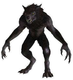 Skyrim Werewolf, Wild Hunter, Werewolf Books, Skyrim Dragon, Werewolf Costume, Rpg Ideas, Spirit Animal Art, Elder Scrolls V Skyrim, Werewolf Art