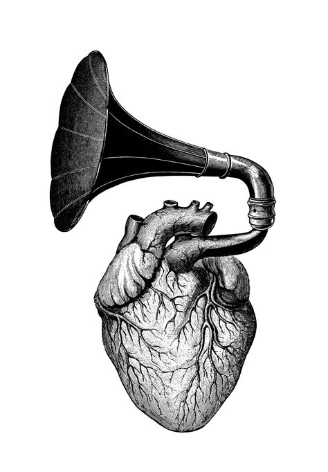 Heartbeat artist: olex oleole Dan Hillier, Music Illustration, Music Tattoos, Desenho Tattoo, Anatomical Heart, Human Heart, Trendy Tattoos, Anatomy Art, Heart Art