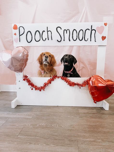 Golden retriever and black lab valentines kissing booth DIY | pooch smooch | valentine | dog valentine | kissing booth | labrador | english golden retriever | dog valentines Diy Dog Kissing Booth, Dog Photo Backdrop Ideas, Kissing Booth For Dogs, Puppy Kissing Booth, Valentine Dog Photo Shoot, Valentines Kissing Booth, Dog Kissing Booth, Diy Kissing Booth, Dog Photo Booth