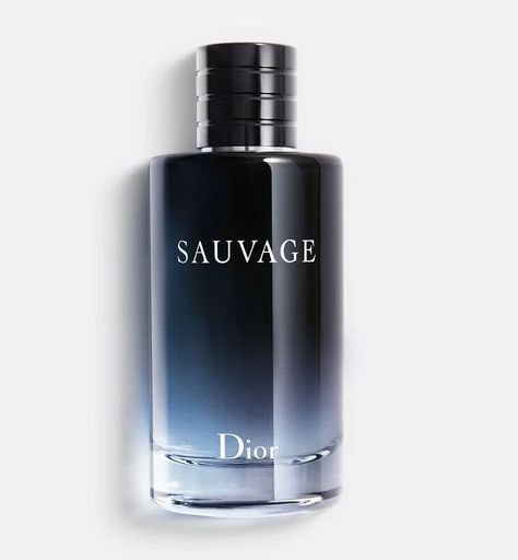 Rocky Landscape, Dior Sauvage, Custom Signature, Ocean Spray, Spicy Fragrance, Perfume Design, Woody Notes, Woody Fragrance, New Fragrances