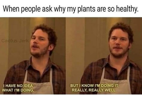 Garden Humor, Plant Jokes, Gardening Memes, Ochako Uraraka, Plant Aesthetic, Plant Mom, Plant Lady, Funny Laugh, Bones Funny