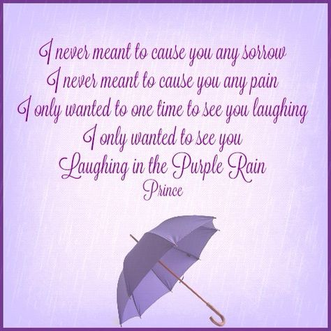 Purple Rain... Purple Rain Lyrics, Purple Rain Album, Rain Lyrics, Prince Purple Rain, Favourite Song, Bear Hug, Purple Rain, Make Me Smile, Song Lyrics