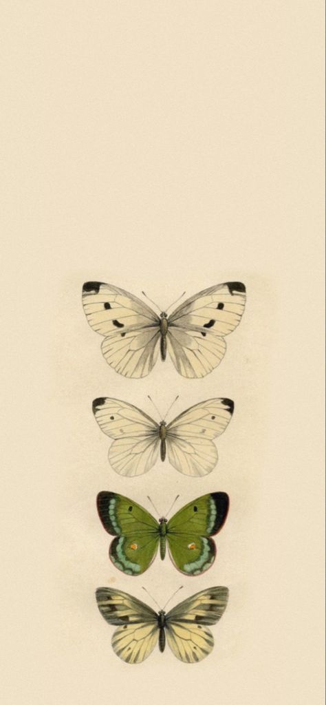 butterfly green beige wallpaper goblincore cottagecore lock screen Pale Yellow Background Aesthetic, Butterfly Core Aesthetic Wallpaper, Earthcore Wallpaper, Earthy Home Screen, Cottage Core Phone Wallpaper, Goblincore Background, Butterfly Background Wallpapers, Aesthetic Wallpaper Fairy, Cottage Core Wallpaper Iphone