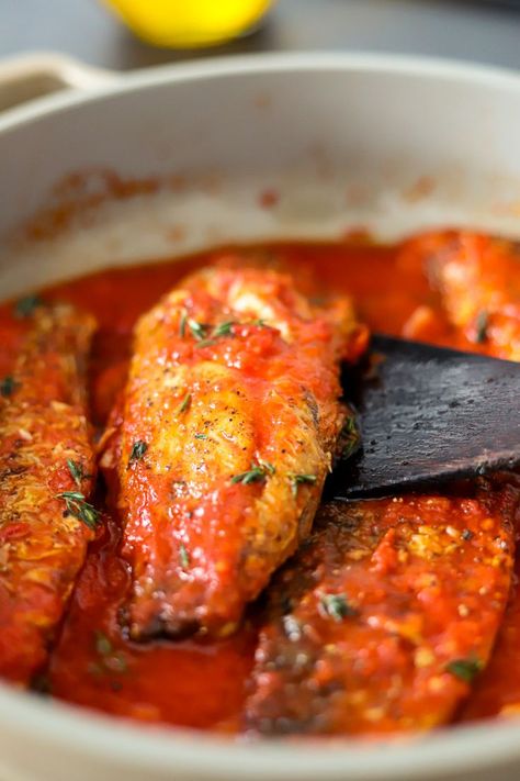 Jamaican Style Mackerel Recipe in Tomato Sauce Mackerel Fillet Recipes, Easy Lobster Tail Recipe, Jamaican Sweet Potato Pudding, Mackerel Recipe, Ginger Bug, Sweet Potato Pudding, Mackerel Recipes, Jamaican Curry, Oxtail Recipes